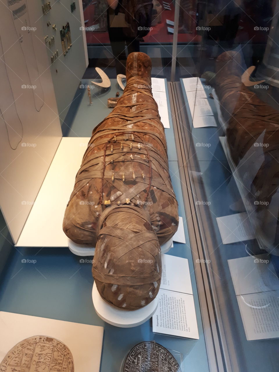 Egyptian Mummy