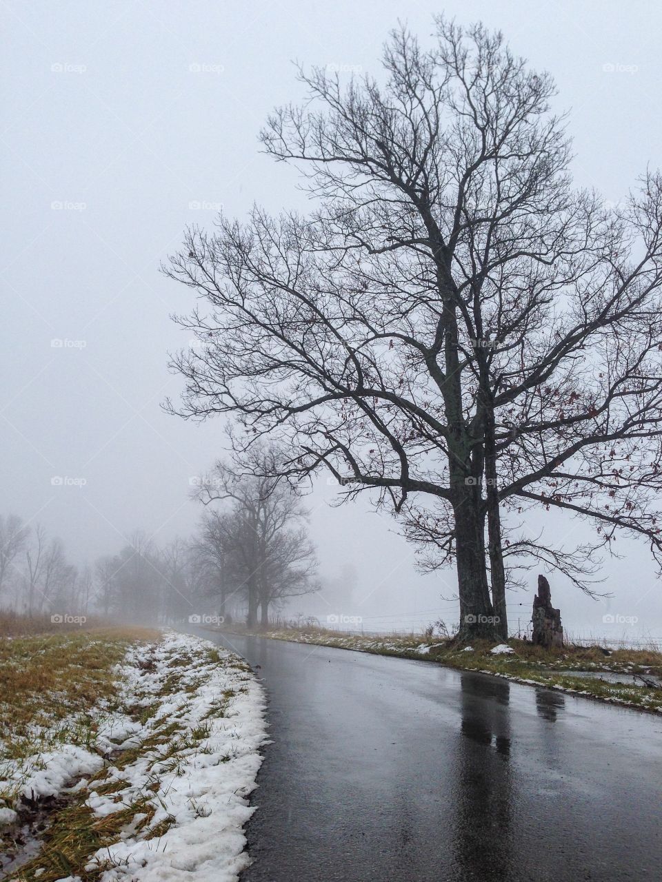 Snowy road