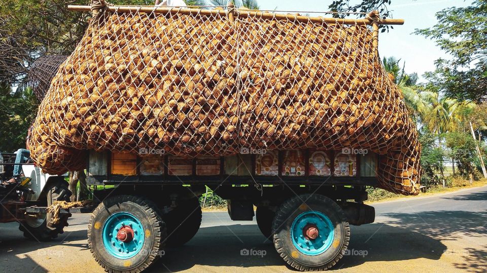 BE LIKE A COCONUT -
Soft internally and externally be strong