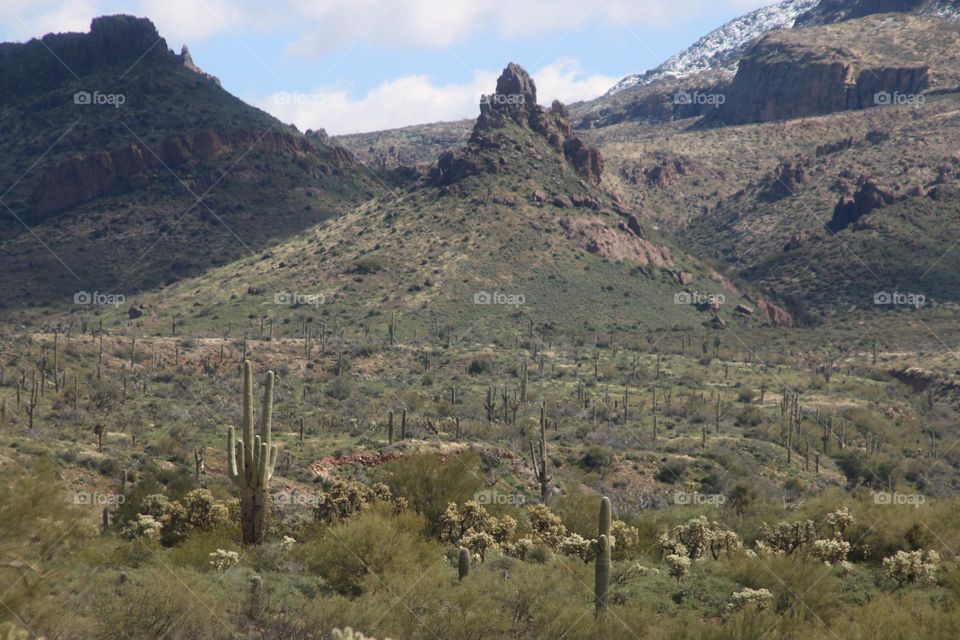 Peak in the Arizona Desert