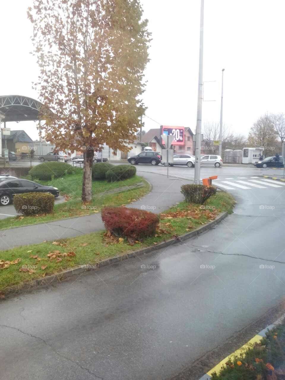 Road that leads to another country....