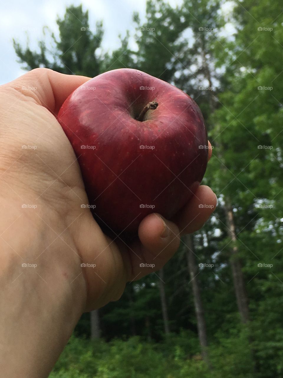 Apple a day keeps the doctor away 