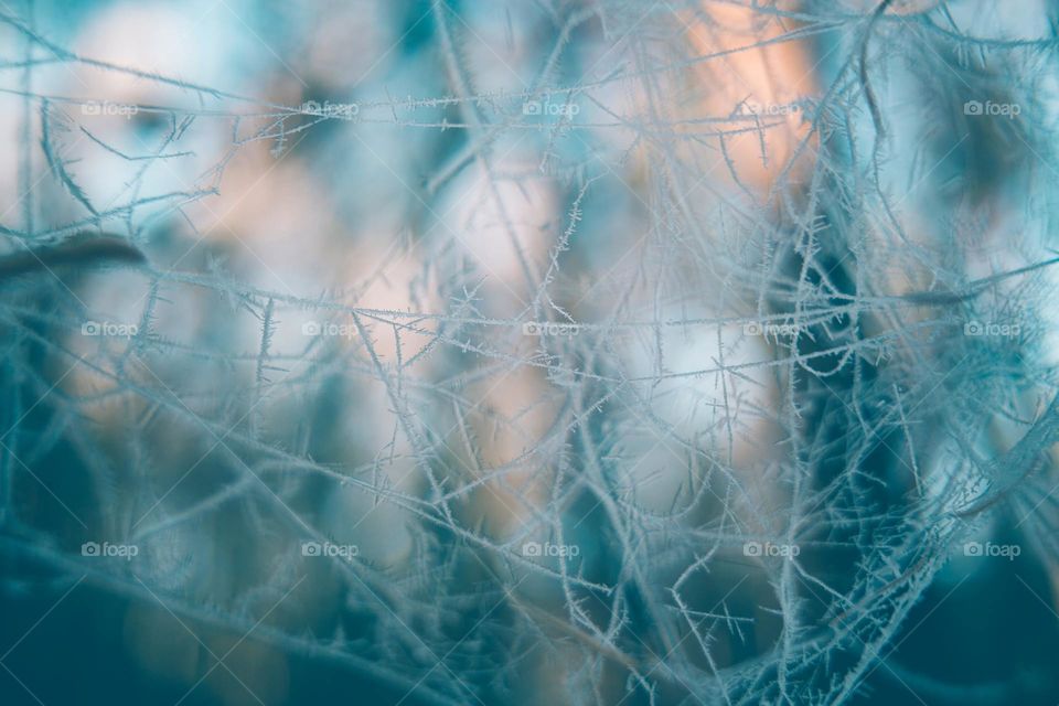 Fantastic👣👣爱上你🍂