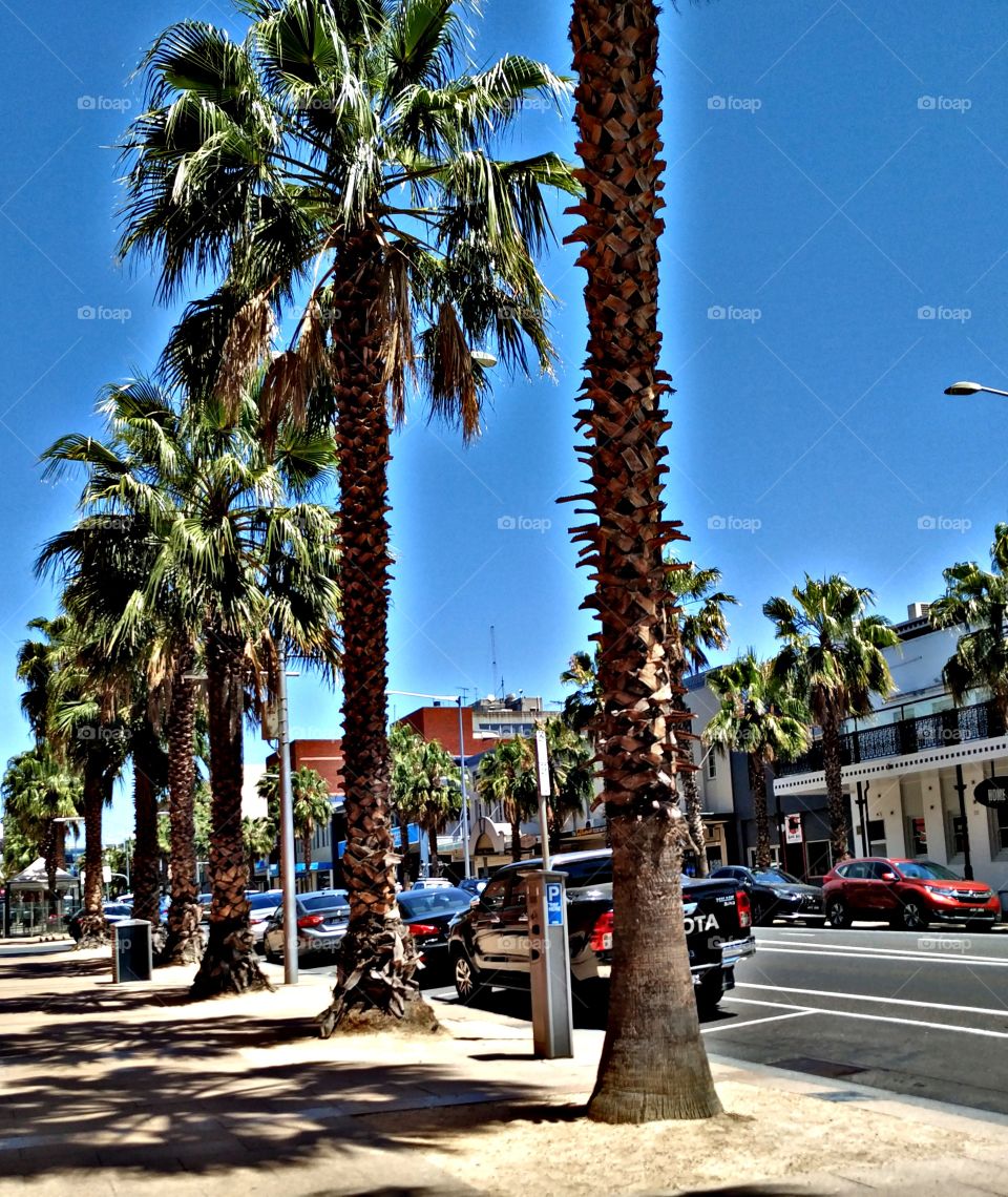 Walking around the City on a sunny day!