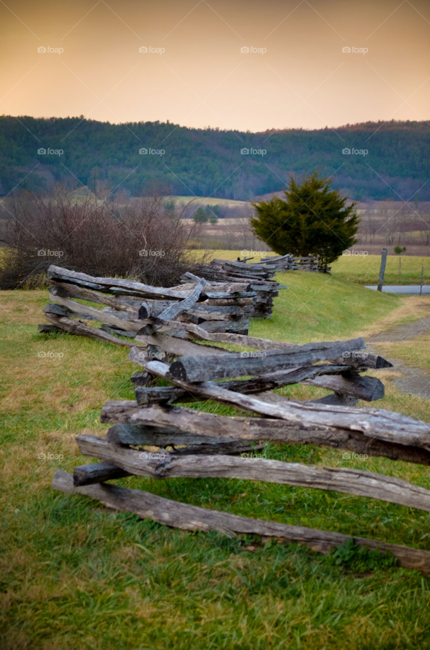 Wooden fence in green grass