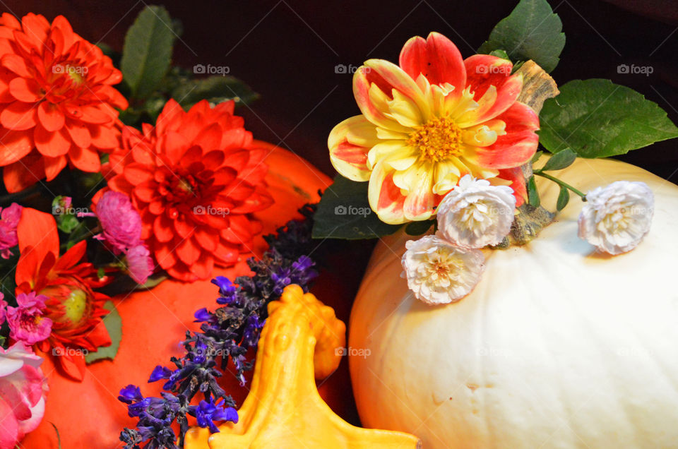 Halloween or Thanksgiving floral centrepiece with shades of orange pumpkins and flowers with gourds and a white pumpkin 