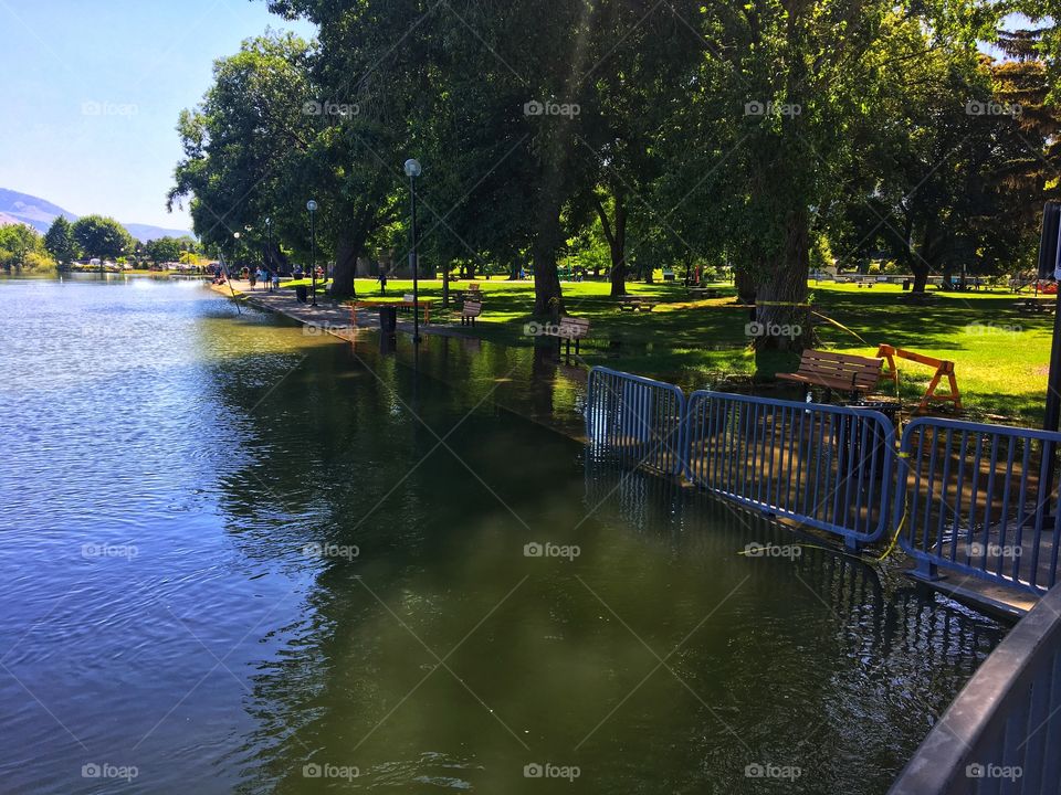 Flooding in the park 