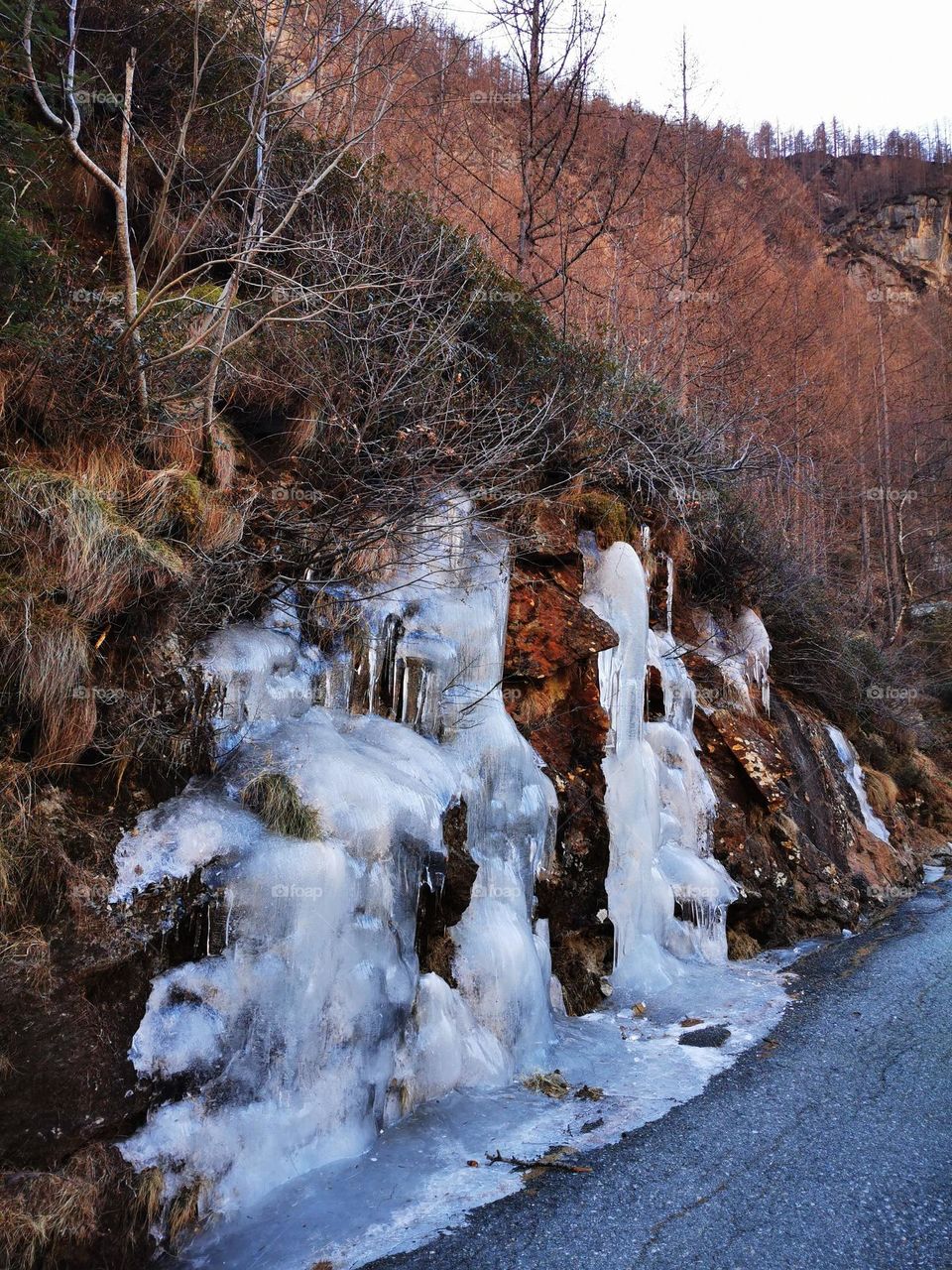 Frozen day without the snow