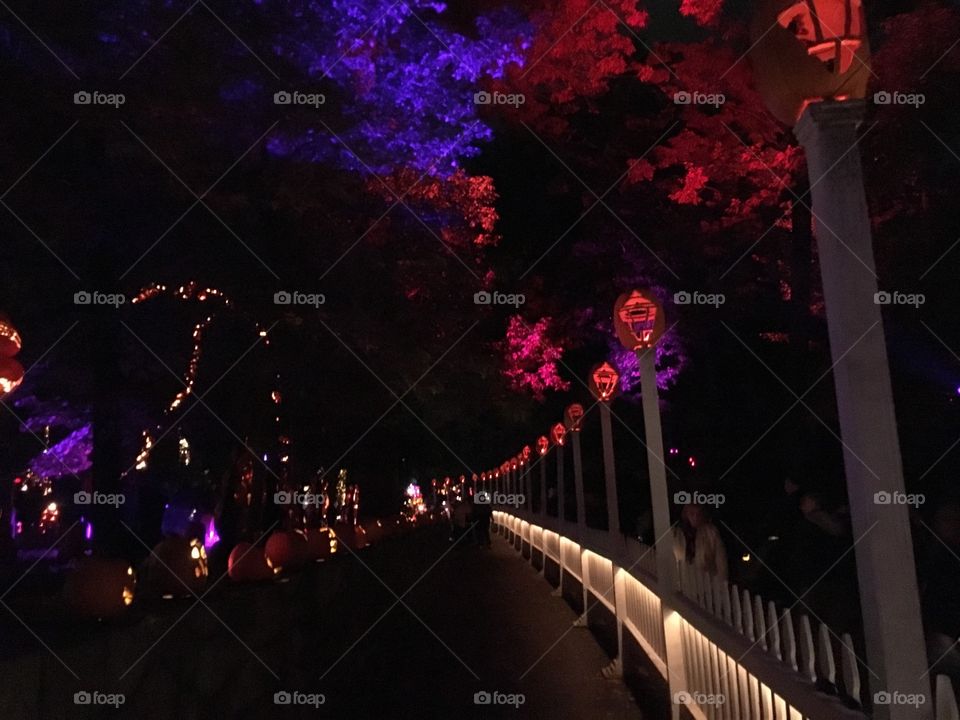 The Great Jack O’Lantern Blaze