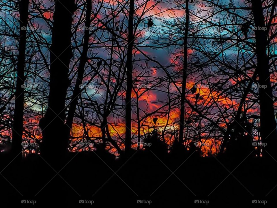 Sunset. Sunset