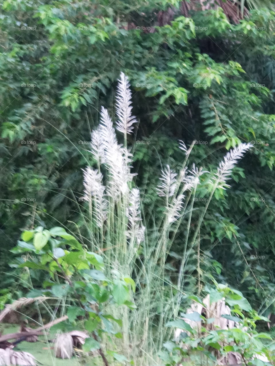 it's alarming autumn