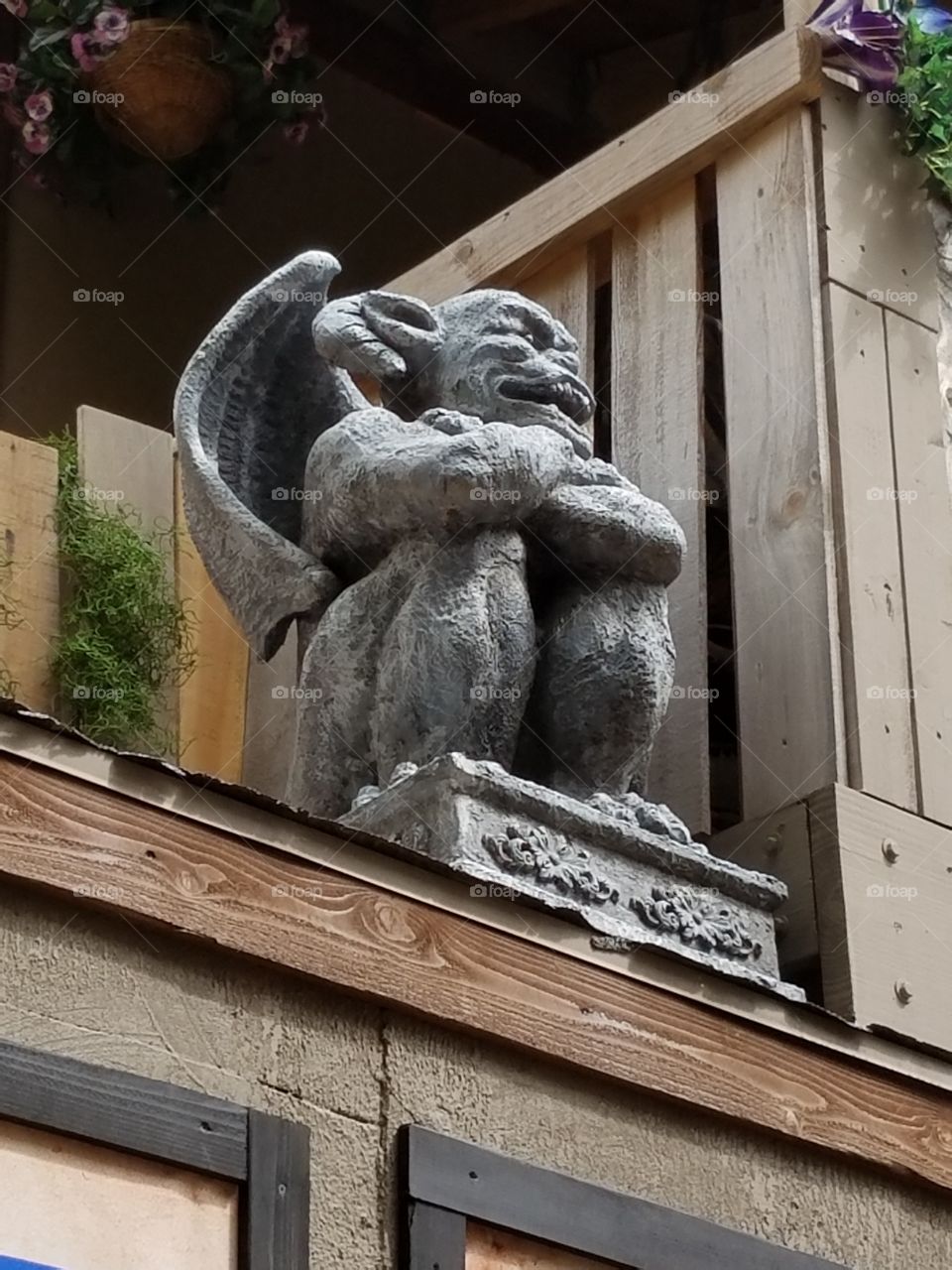 Sherwood Forest Faire pic set