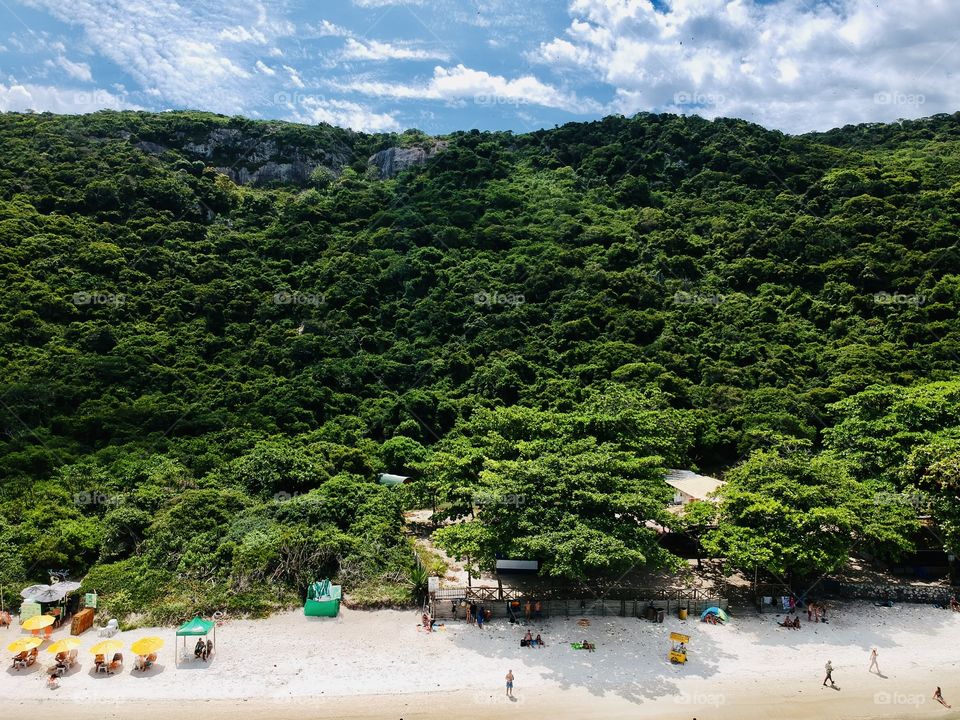 Beach in Brazil