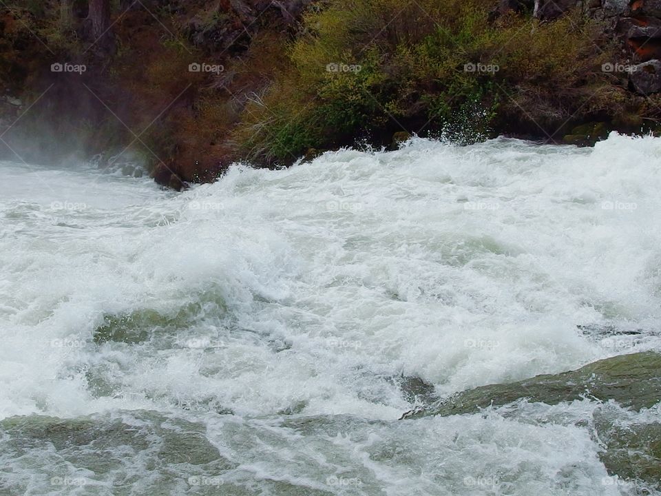 The roaring waters of the Deschutes River at Dillon Falls in the forest with spring runoff rushing through its rock canyon covered in hardened lava rock, moss, bushes, and ponderosa pine trees. 