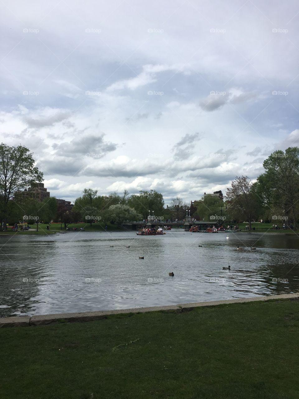 Boston Public Garden Pond