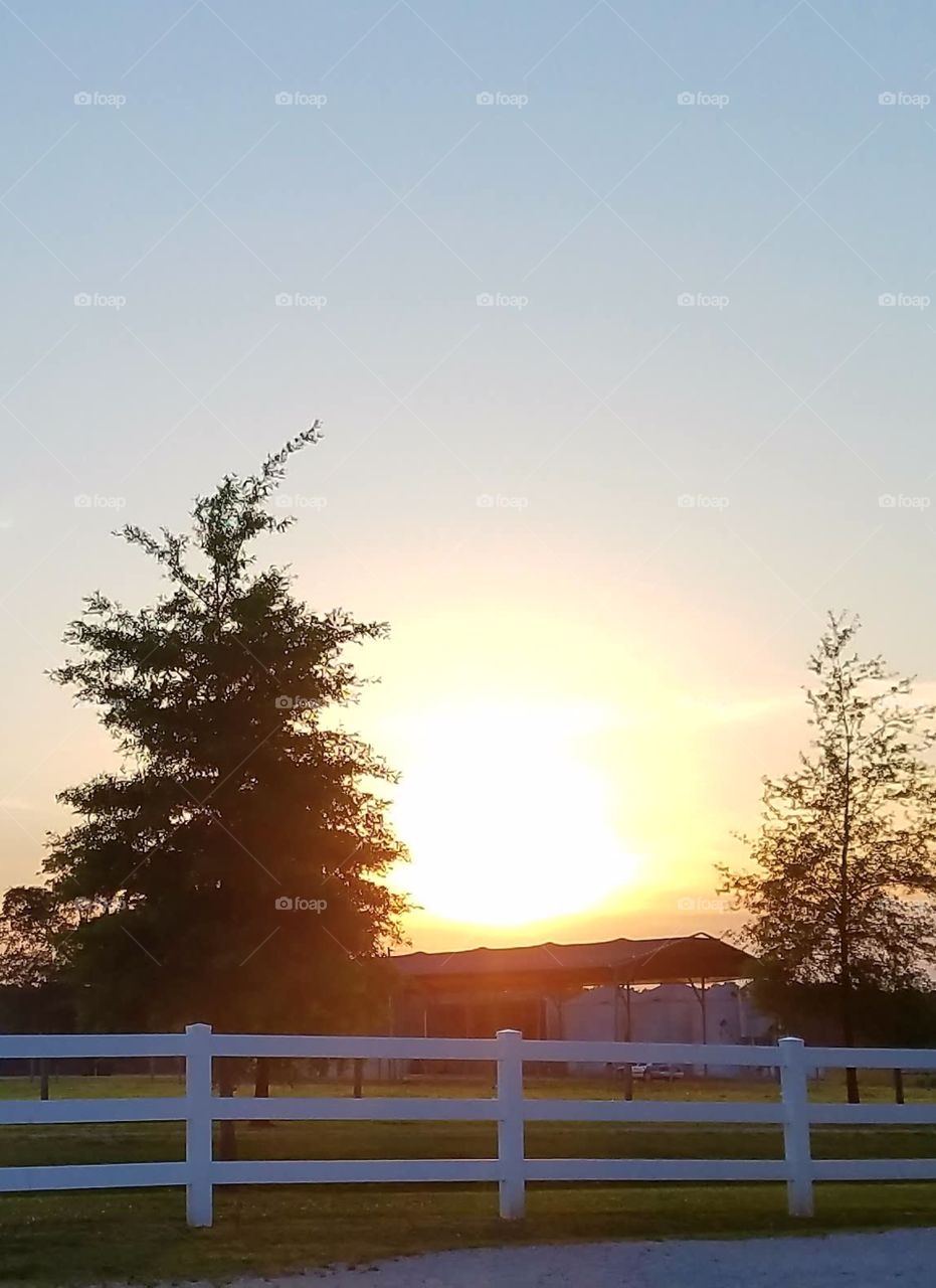 sunset at the farm