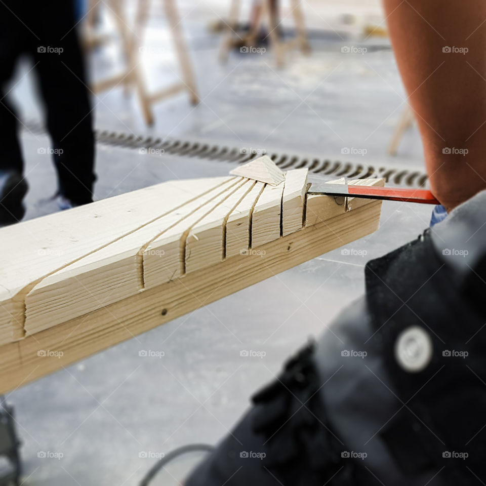 Workshop GAIA in France