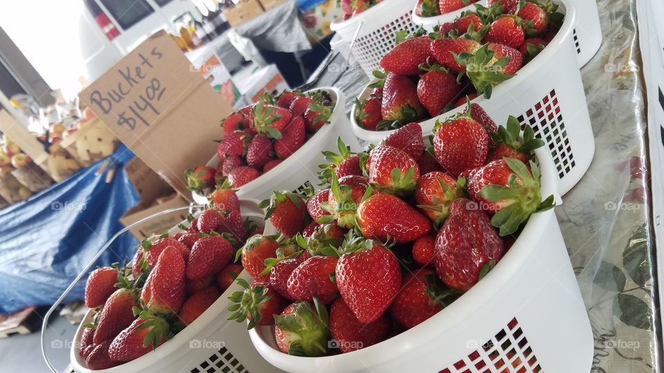 strawberry buckets at the State Farmers Market