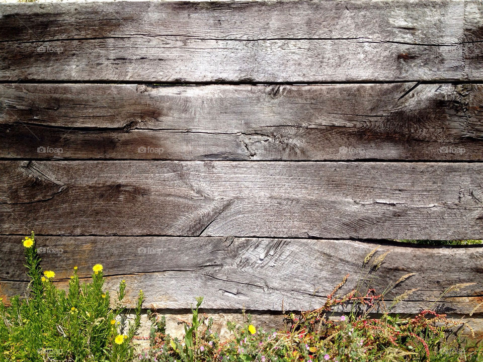 flowers wall railway old by dannytwotaps