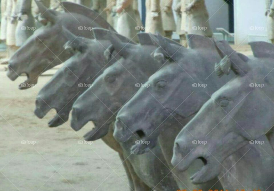 Terra Cotta Horses. Taken in Xian, China