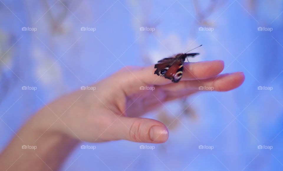 Close-up of woman's hand with butterfly