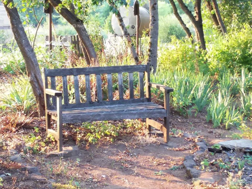 Wood weathered bench in garden