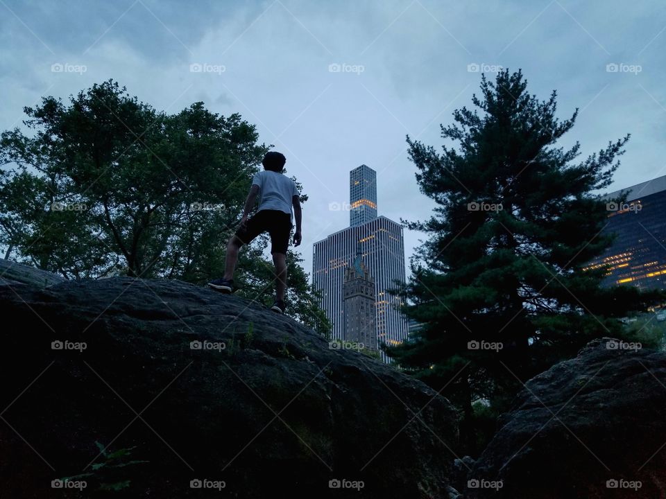 from Central Park, New York.