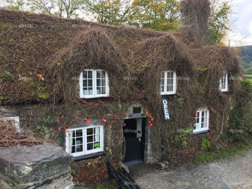 Thatched cottage in Wales 