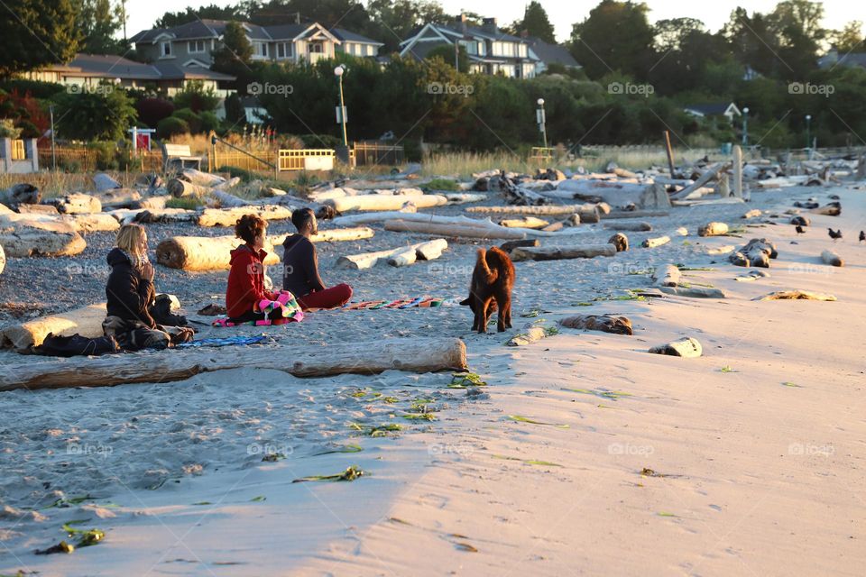 People meditating on the beach 