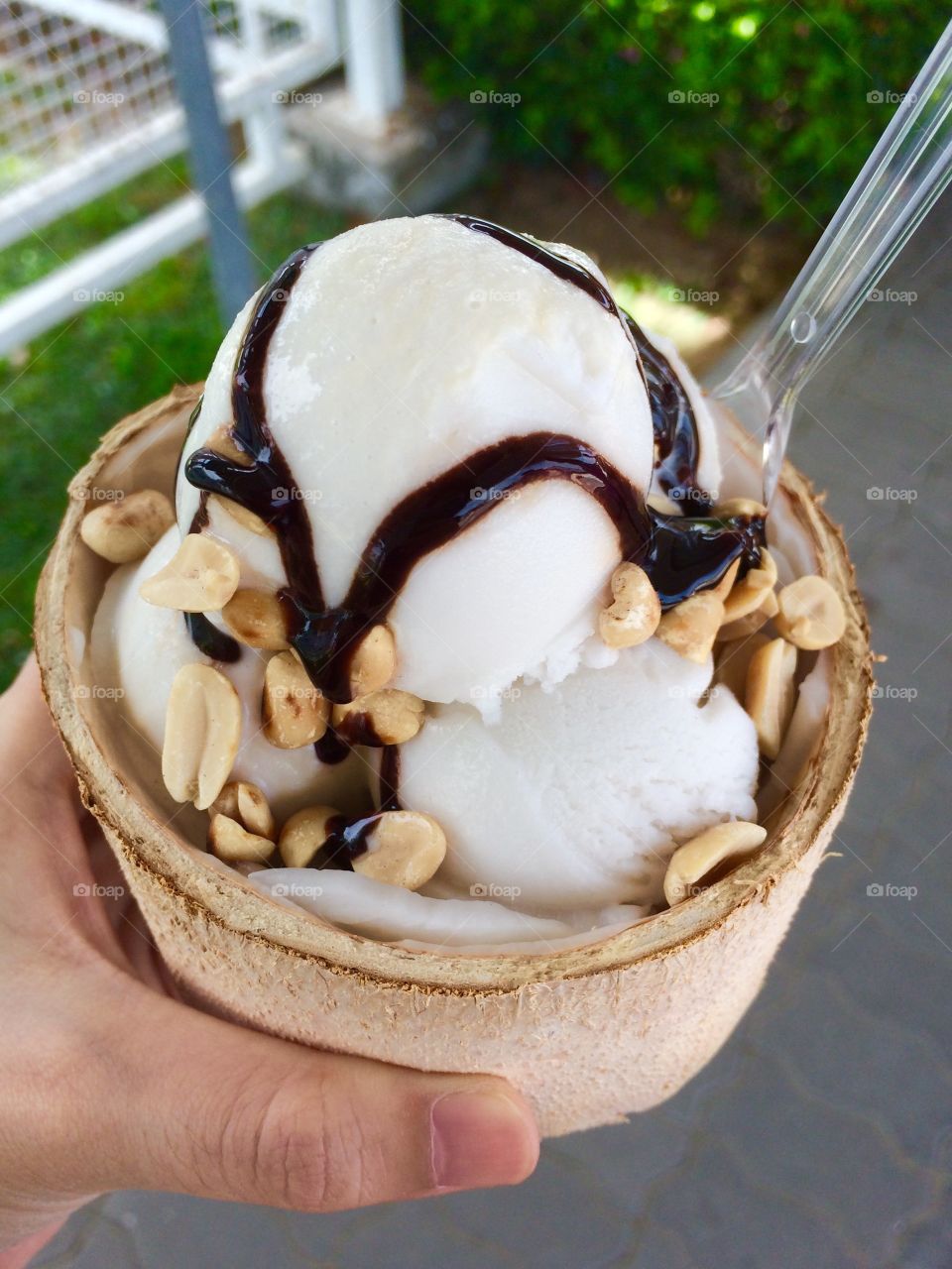 Coconut Ice cream. Coconut Ice cream in the shell