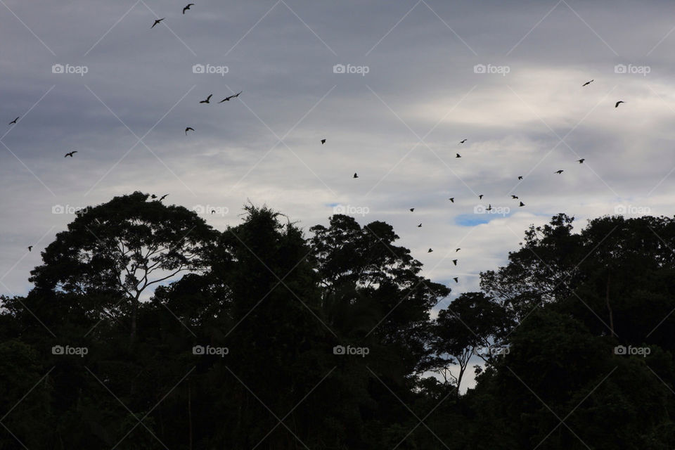 sky nature dark clouds by christ