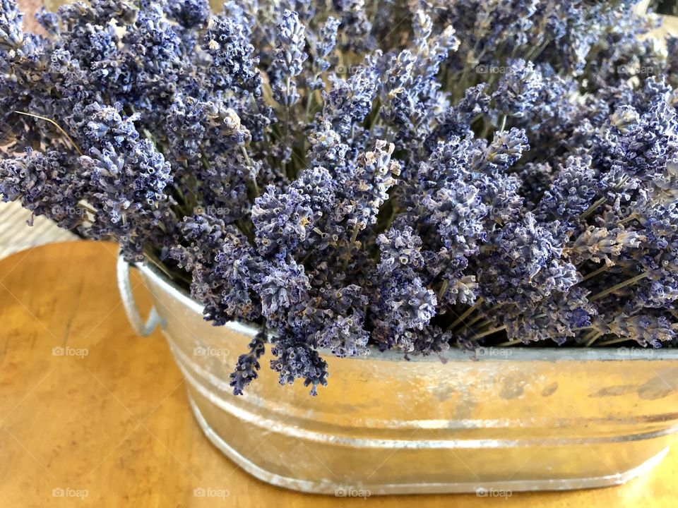Beautiful dried lavender 