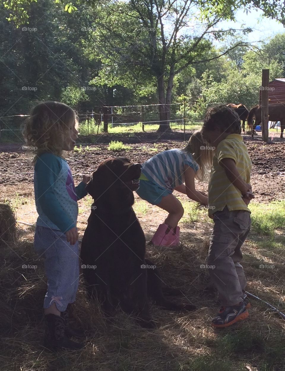 Children playing with Choco the farm dog