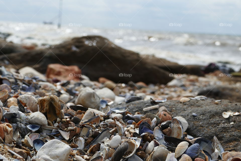 beach with pebbles and shells