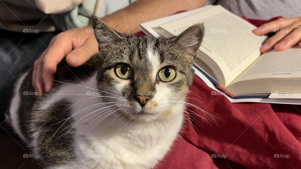 Relaxing and reading 