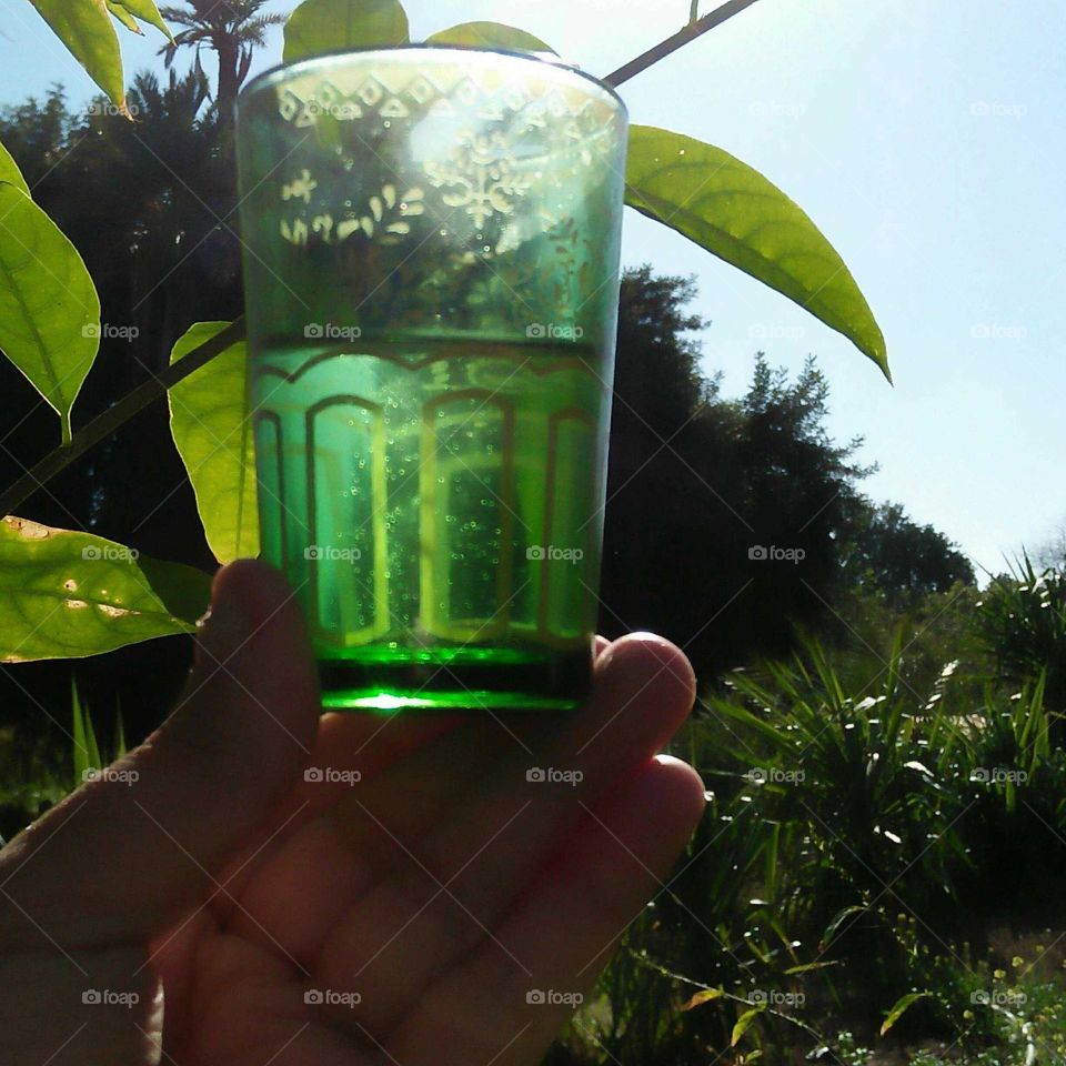 Beautiful green cup oc tea in nature.