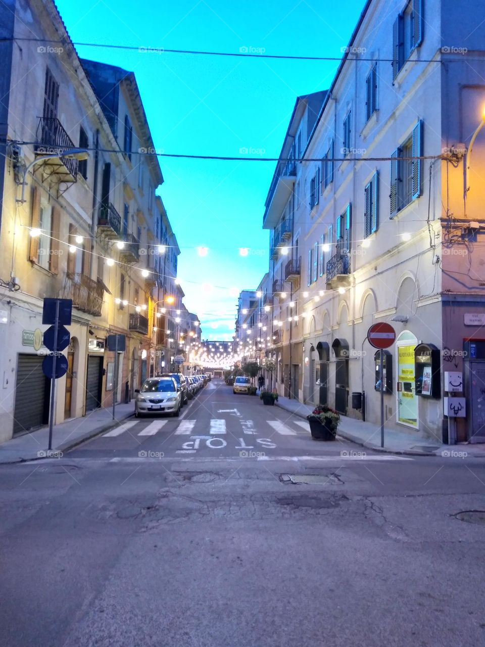 Editors' Choice: Photo of the Week