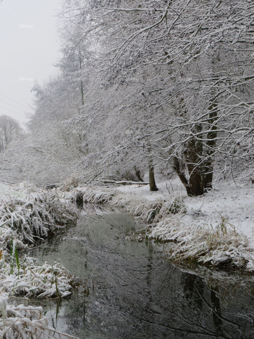 An der Wuhle entlang