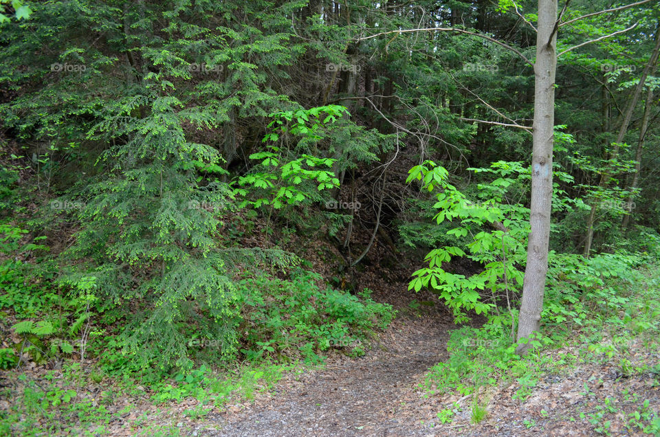 Hidden Adventures ( Series )