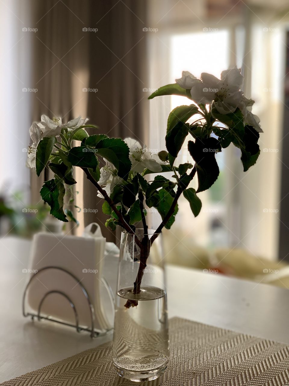 a branch of a blossoming apple tree stands in a transparent glass vase on the kitchen table