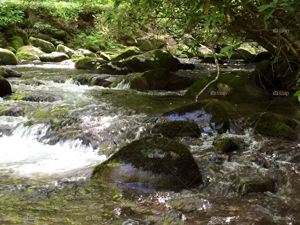 Stream, Water, River, Moss, Waterfall
