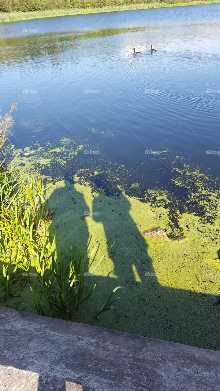 shadow selfy