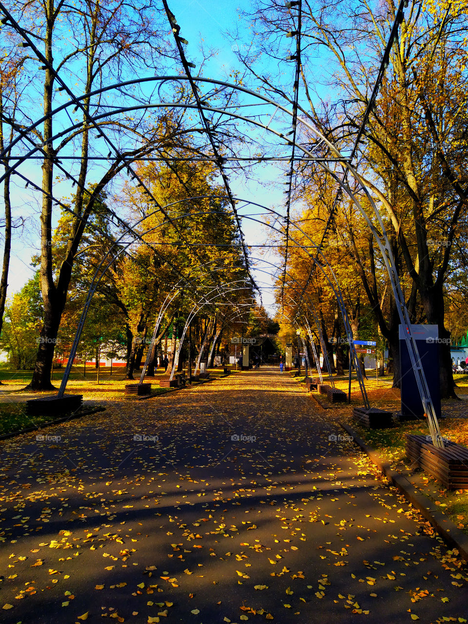 Autumn Park