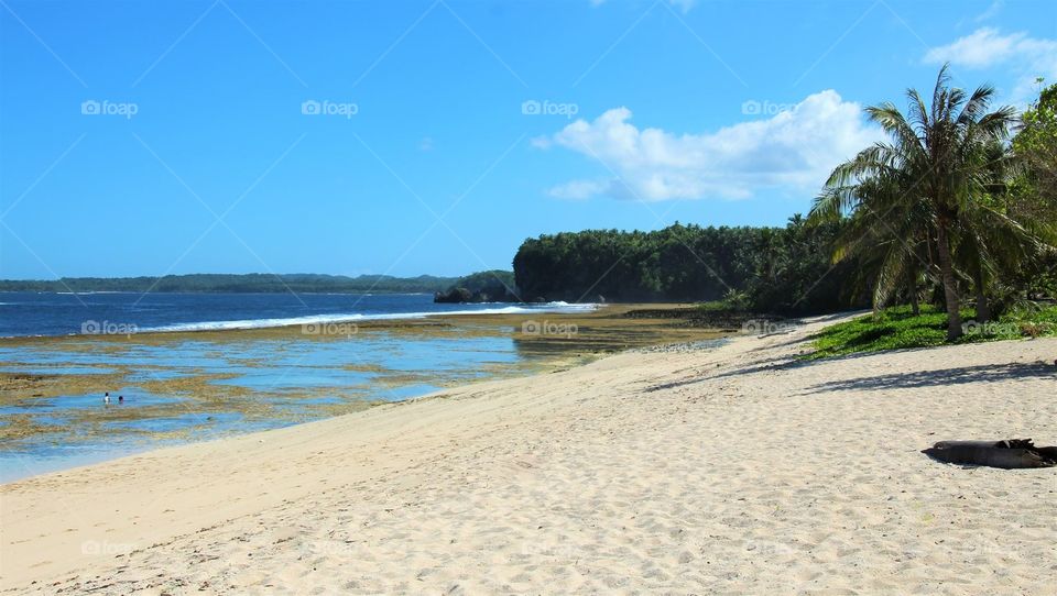 White sand beach