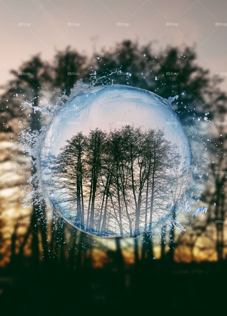 Large Tree in water bubble