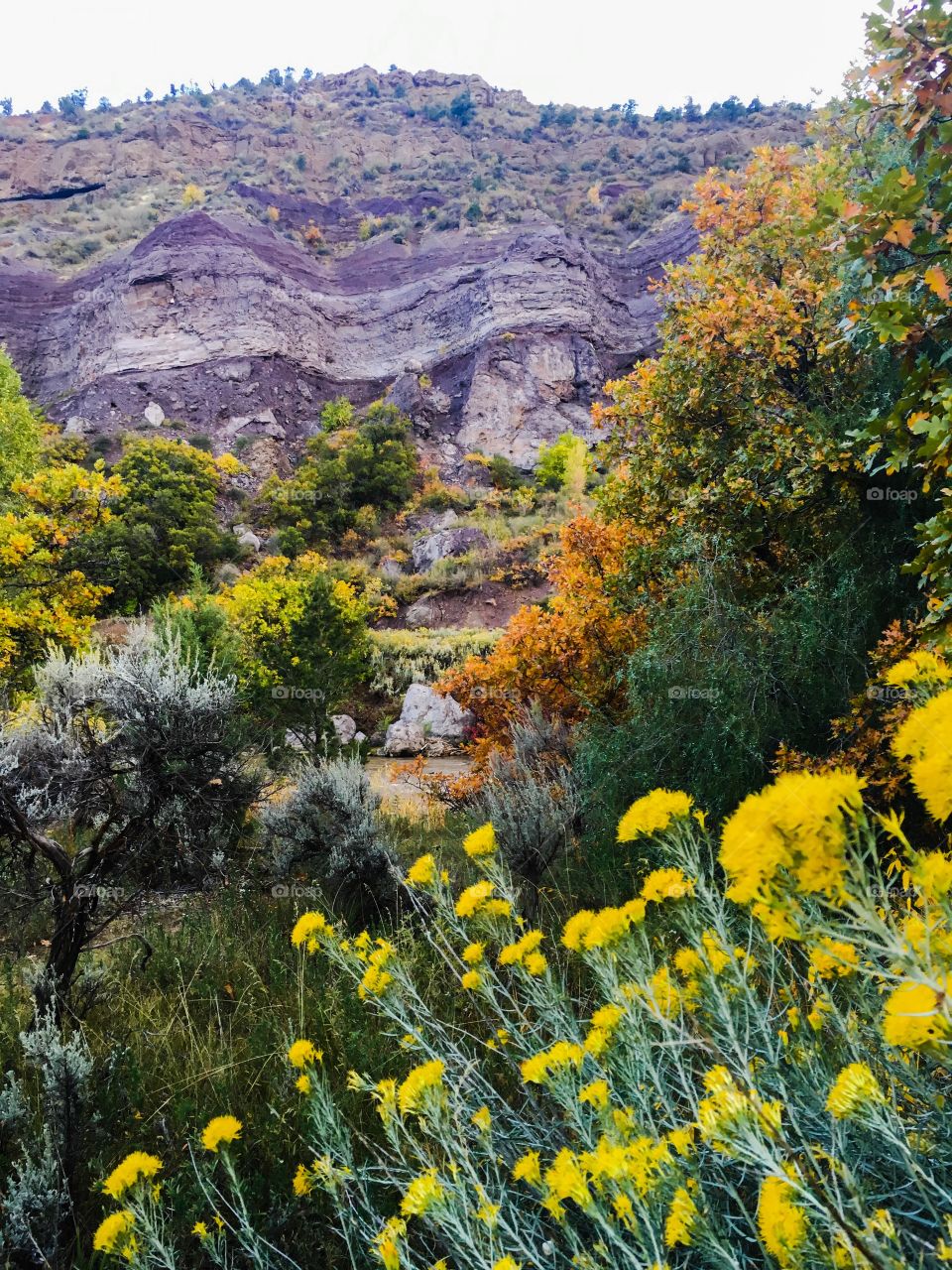 River valley in fall