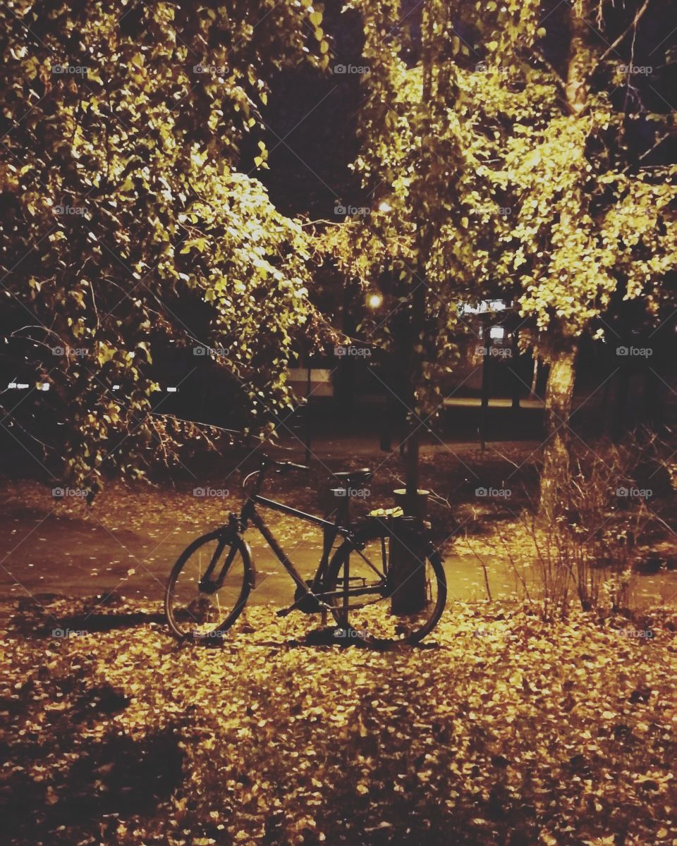 Autumn melancholy