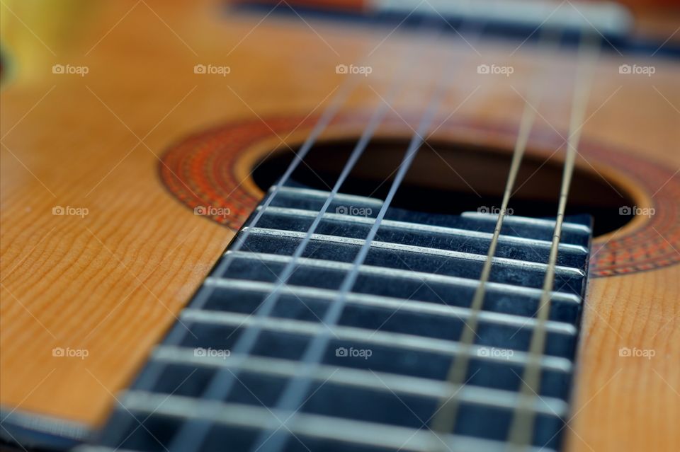 Guitar