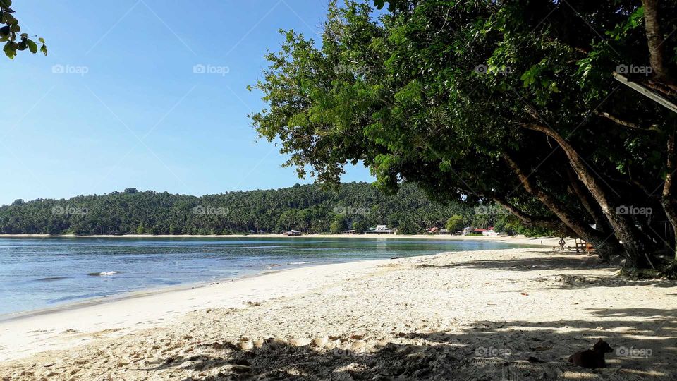 Paradise in Cagwait White Beach, Cagwait, Surigao del Sur Philippines