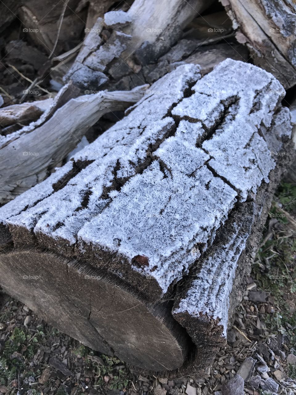Frosty log
